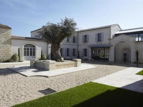 Chateau La Rose Perriere Lussac  エクステリア 写真