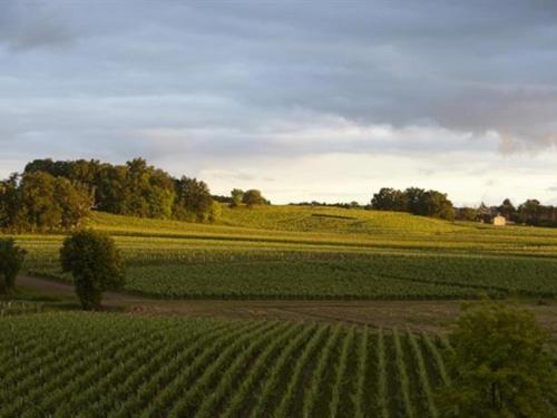 Chateau La Rose Perriere Lussac  エクステリア 写真